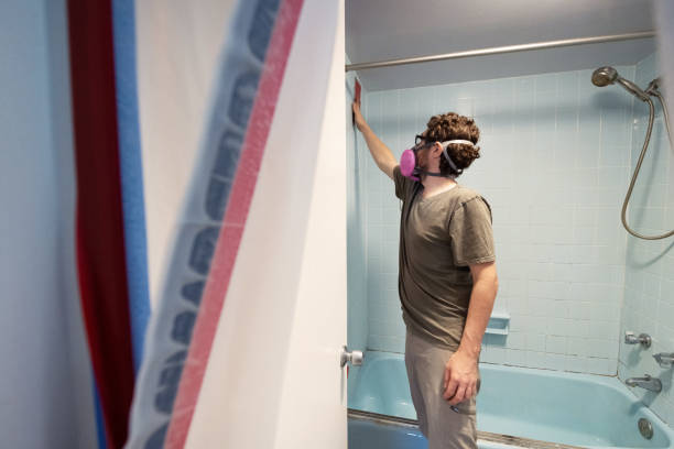 Trusted Safety Harbor, FL Mold Removal Experts
