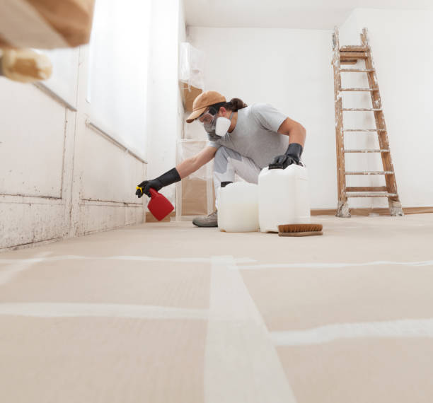 Best Biohazard Mold Removal  in Safety Harbor, FL